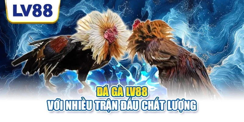 Trận đấu Thomo trải nghiệm chân thực và kịch tính